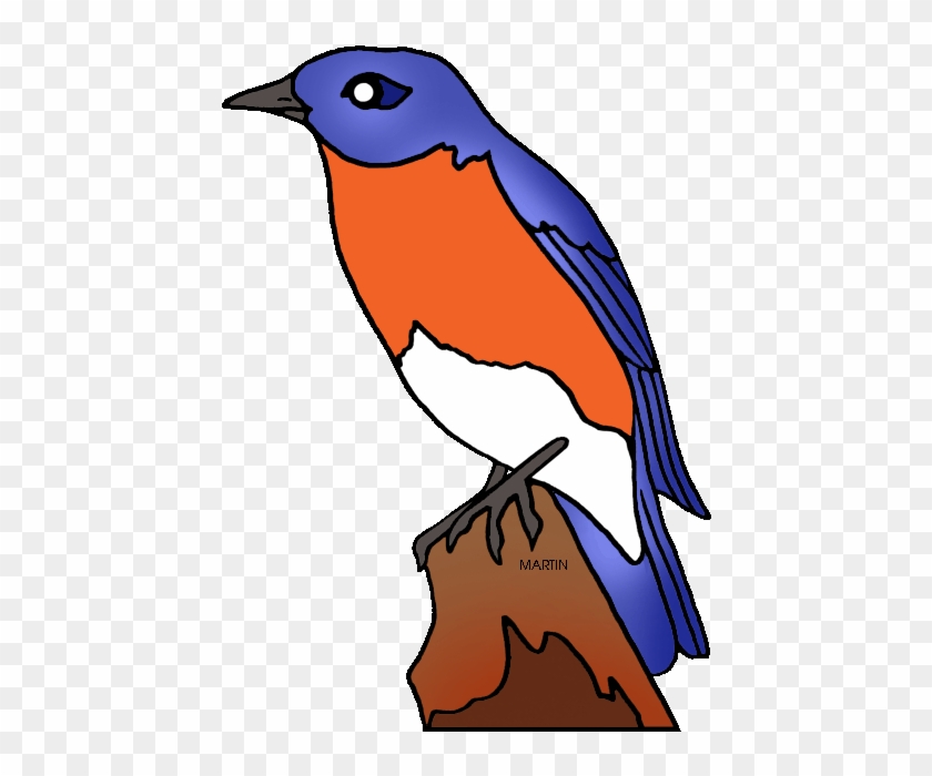 New York State Bird - New York State Bird - Full Size PNG Clipart