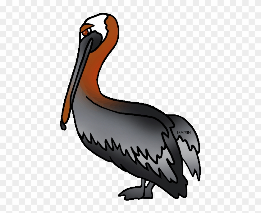 Louisiana State Bird - Louisiana State Brown Pelican #74484