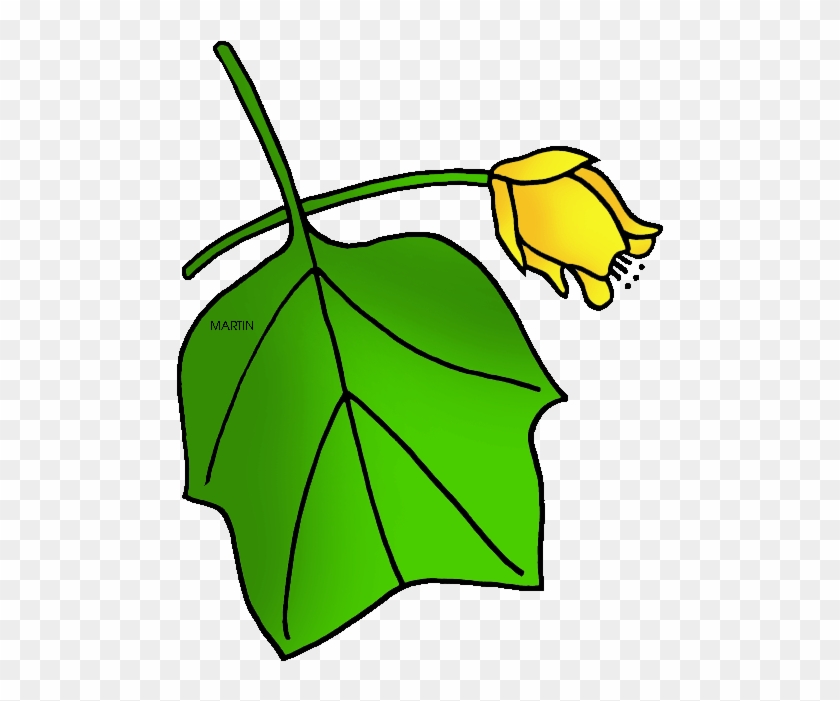 Tennessee State Tree - Tulip Tree Clip Art #74545