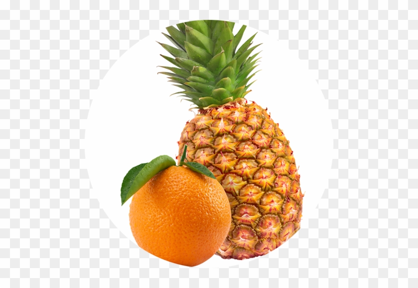Orange Pineapple - Tangerine #421010