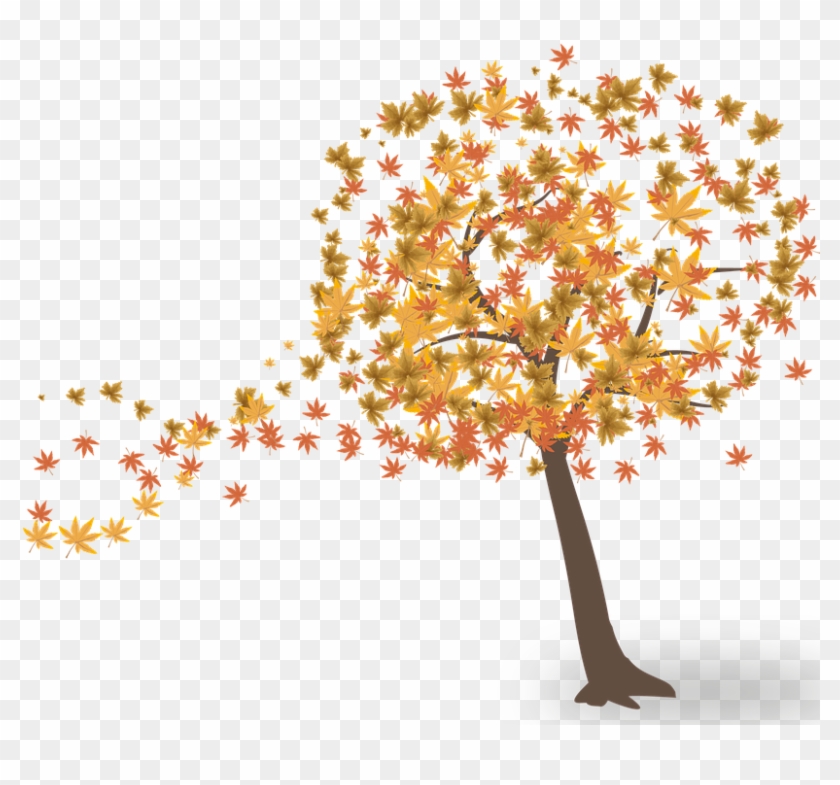 Autumn Tree Clipart - Arvore Outono Png #421061