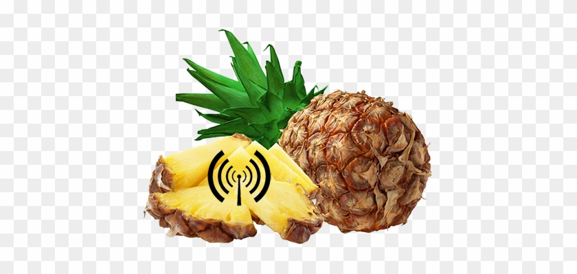 Of All Wifi-enabled Laptop And Mobile Phone Users In - Cafepress Pineapple Tile Coaster #421066