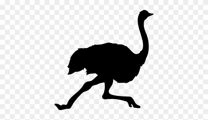 Black Running Ostrich Png - Silhouette Of An Ostrich #421092
