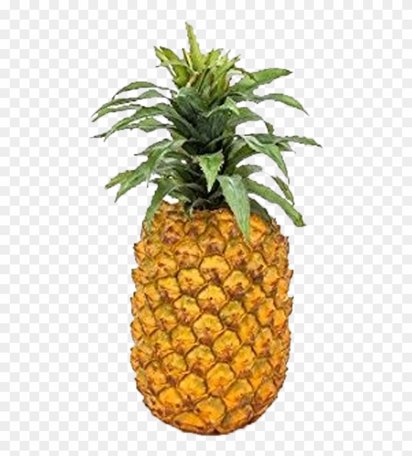Pineapple - Fake Pineapple #421134
