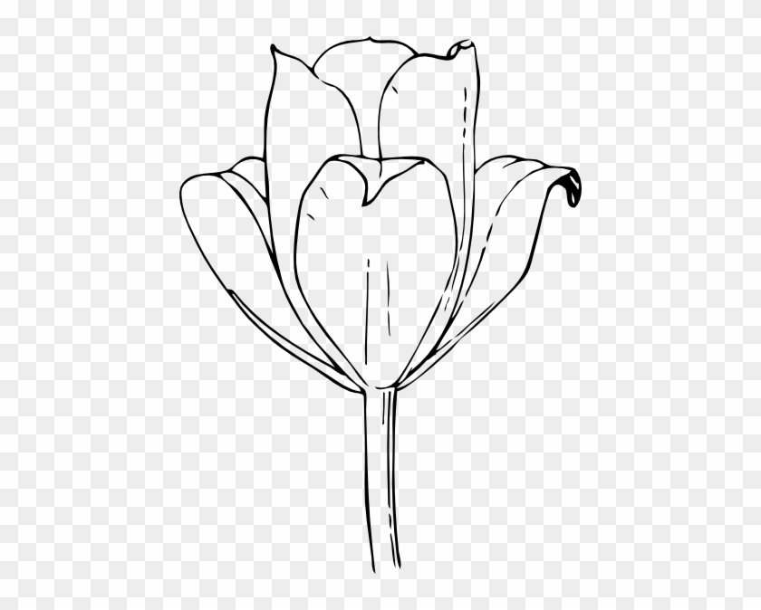 Tulip Flower Clip Art Free Vector / 4vector - Tulips Coloring Pages #421315