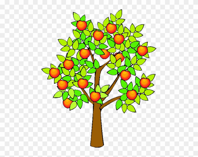 Orange Tree Clipart - Draw A Fruit Tree #421344