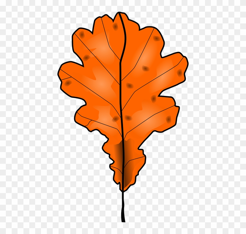 Fall Trees Clipart 22, - Dead Leaf Clipart Png #421381