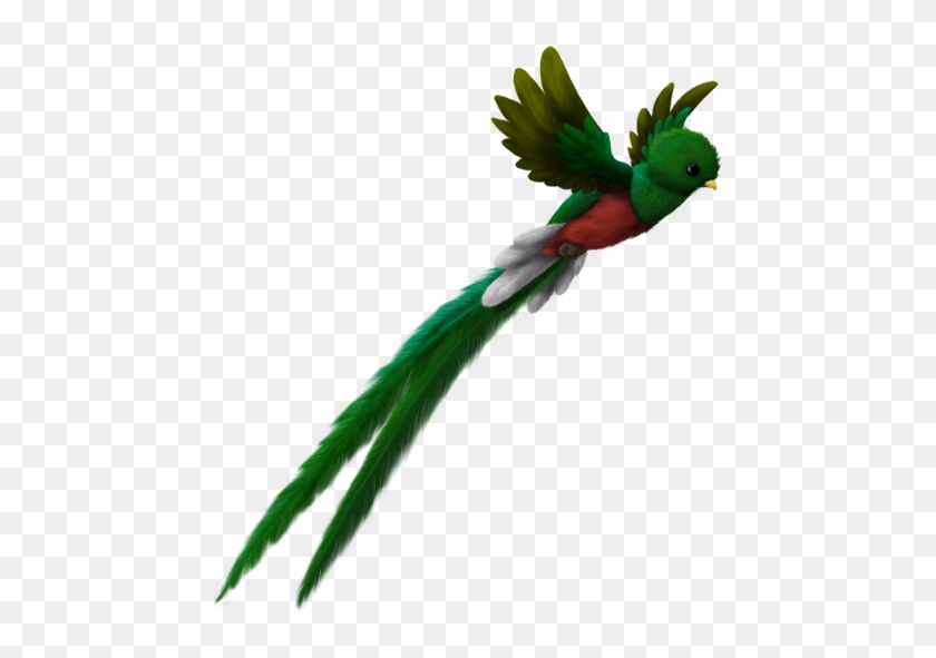 Quetzal Clipart Guatemala - Quetzal Guatemala Png #421405