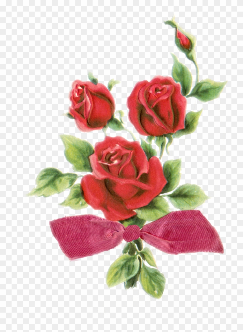 More Artists Like Frame Png With Roses By Melissa-tm - Blahoželanie K 20 Narodeninám #421585