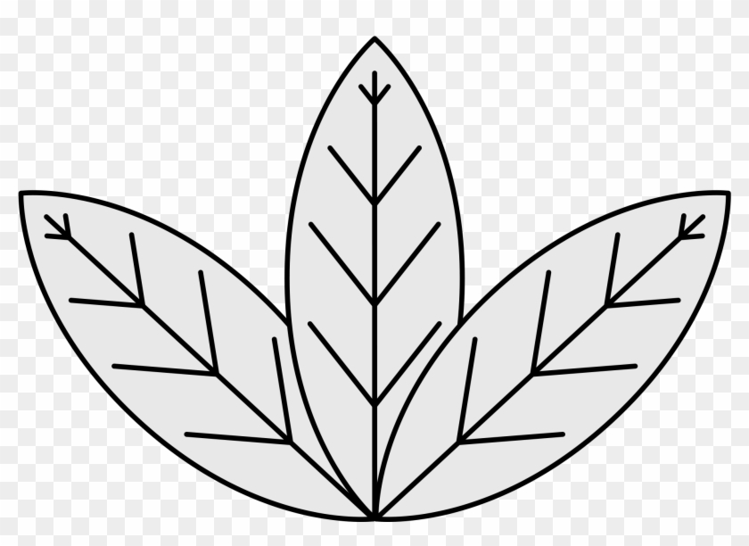 File - Easy To Draw Tobacco Plant #421623