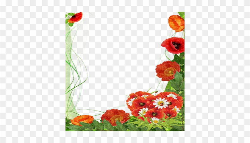 Poppy Flower Frame - Mother's Day Png Frames #421626