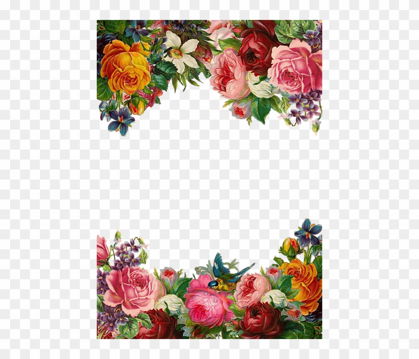Flower, Rose, Frame, Collection, Vintage, Composition - Beautiful Flower Border #421648