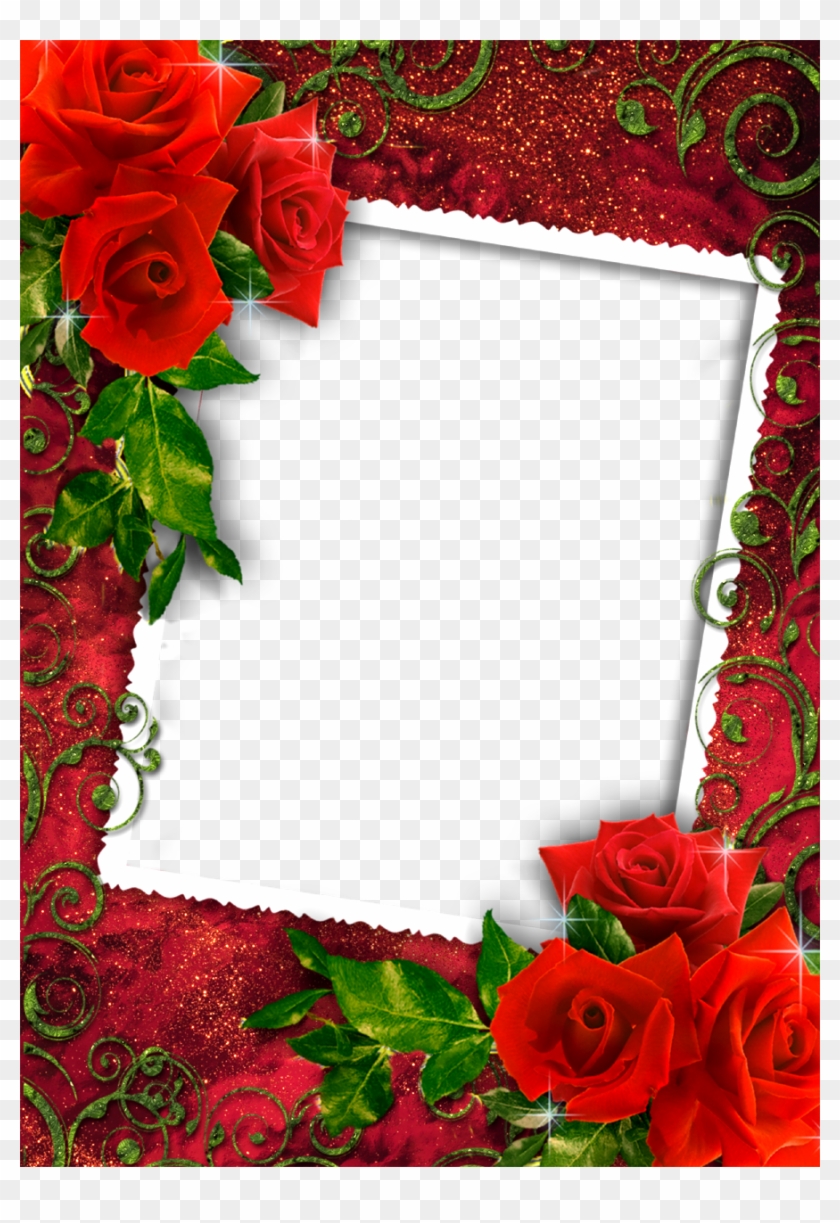 Red Rose Flower Frame - Frame Photo Love Png #421663