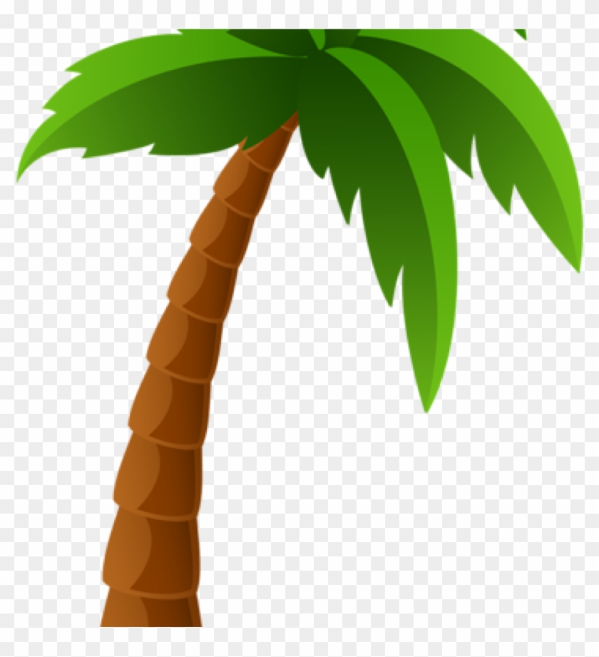Palm Clipart Palm Tree Png Image Clipart Graphics Pinterest - Cartoon Palm Tree Png #421696