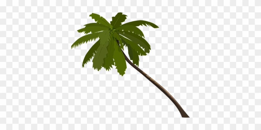 Palm Tree Fronds Trunk Alone Branches Wind - Jungle Trees Clip Art #421698