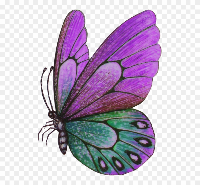 Violet Clipart Papillon - Butterfly #421782