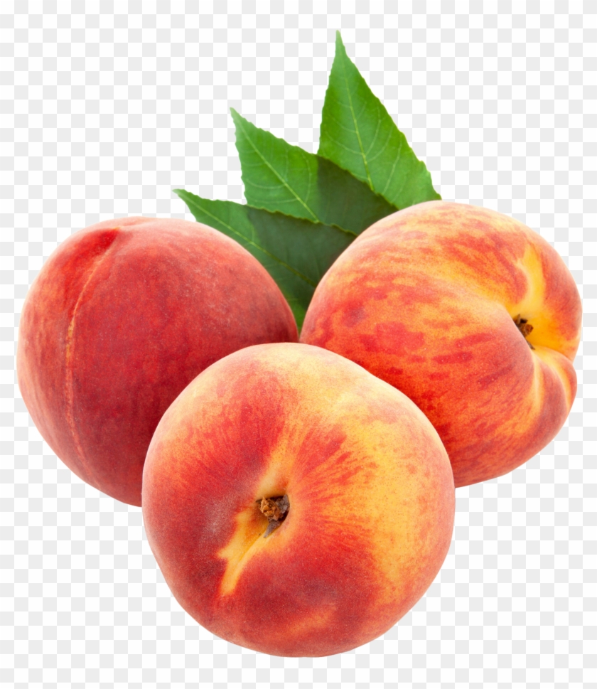 Peach Clipart Single Fruit - Peaches Png #421826