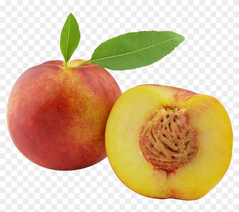 Nectarine Clipart Georgia Peach - Peach Clipart #421854