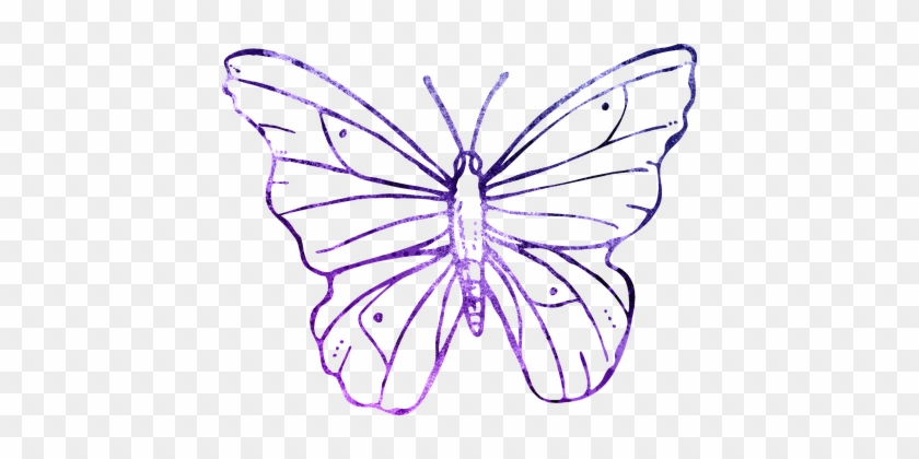 Butterfly Purple Outline Clipart Cute Flyi - Transparent Background Butterfly Flower Line Art #421865