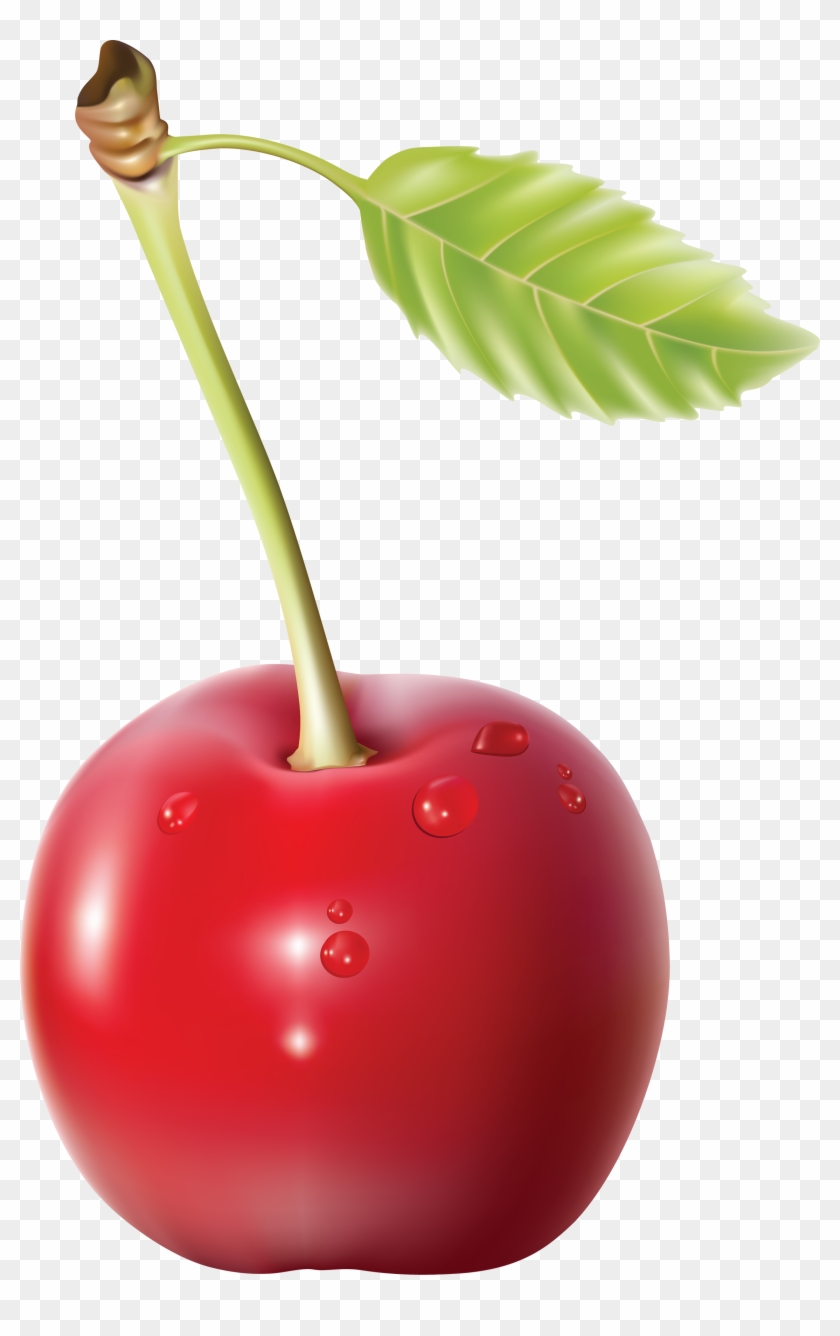 Cherry Clipart Single Cherry - Cherry Png #421878