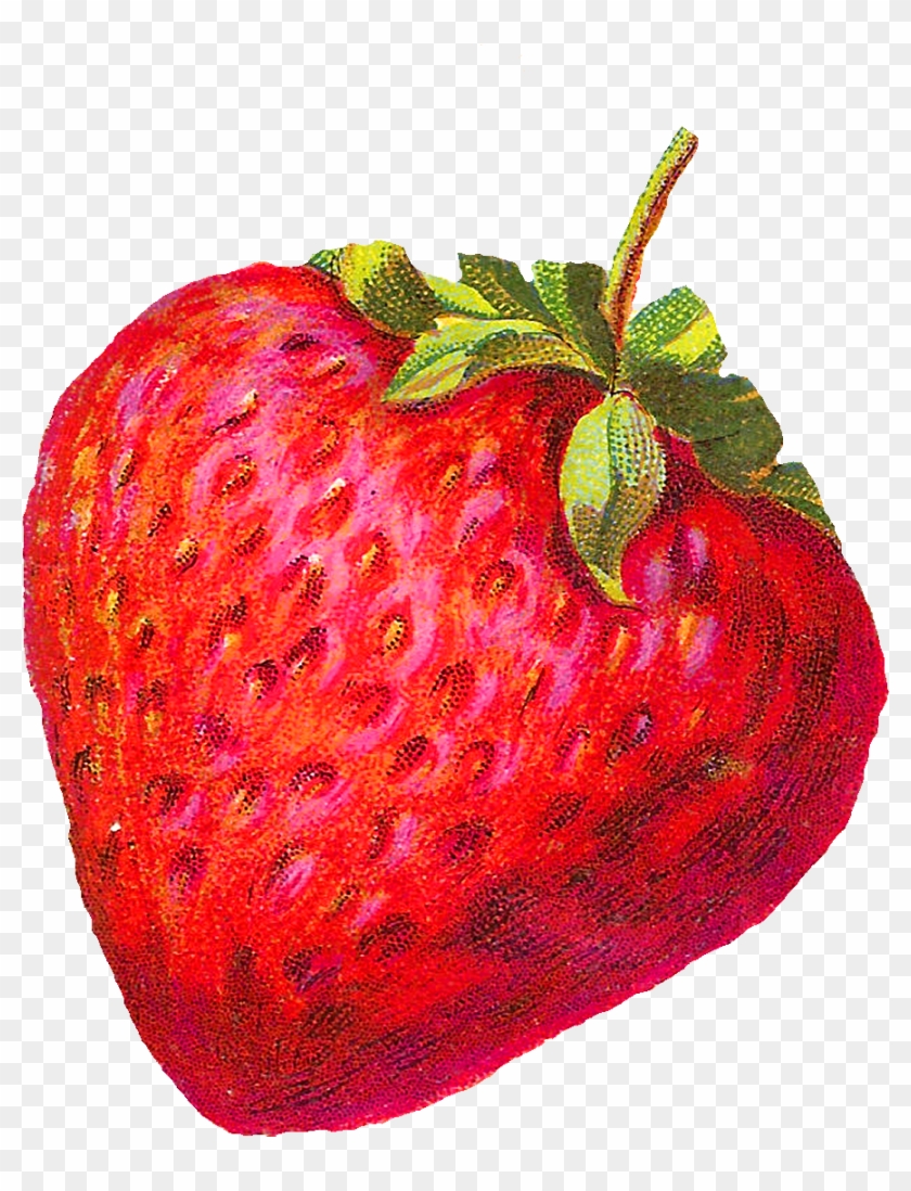 The Fruit Images Would Be Awesome Design Elements For - Vintage Strawberry Clip Art #421881