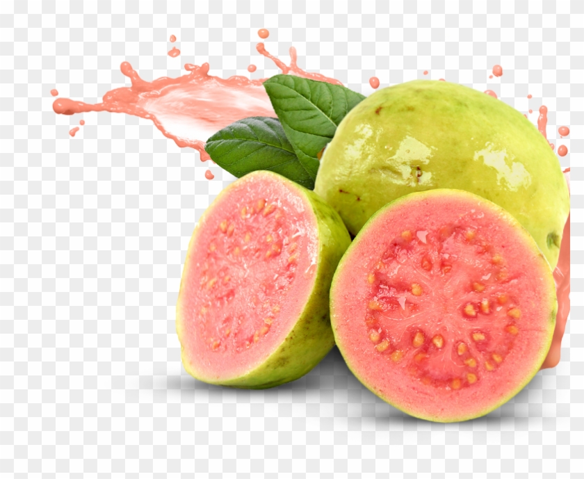 Download Guava Free Png Photo Images And Clipart - Guava Fruit #421882