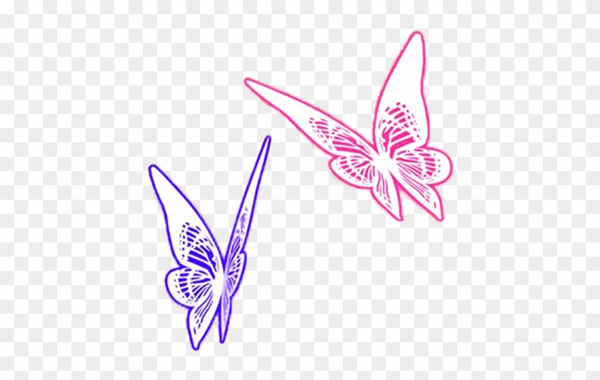 Two Butterflies Render 1 By 17reshiram - Rendering #421884
