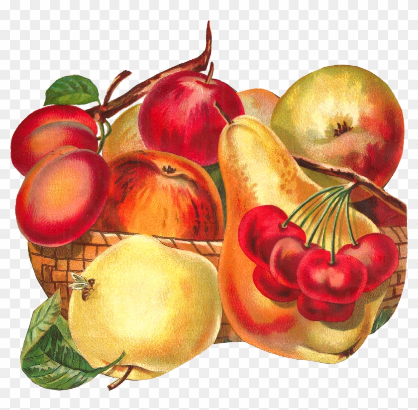 Fruit Basket Image Apple Pear Plum Clipart Artwork - Fruit #421891