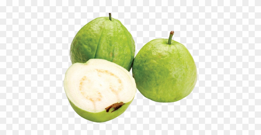 Download Guava Free Png Photo Images And Clipart - Tell If A Guava Is Ripe #421896