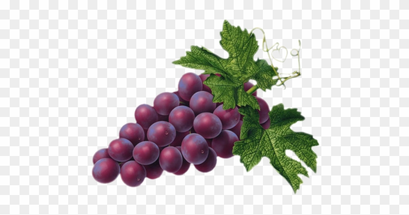 Grapes Clipart Red Grape - Red Grape Png #421908