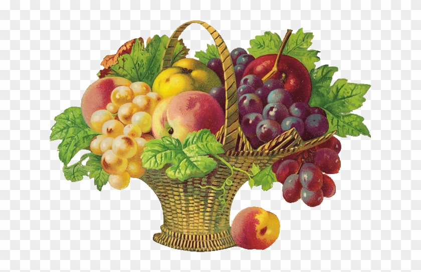 Basket Of Fruit - Get Well Soon Fruits #421909