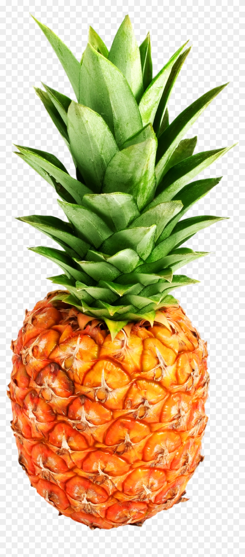 Pinapple - Pineapple Png #421912