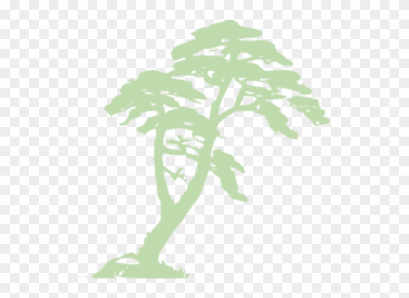 Jungle Trees Clipart #421957