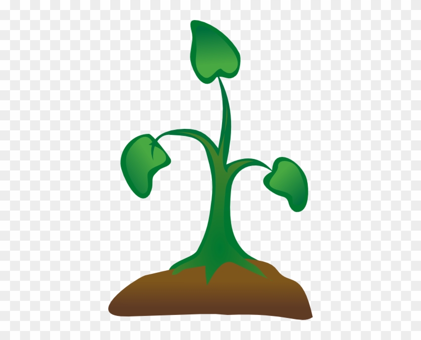 Tree Sapling Clip Art - Sapling Clipart Png #421964