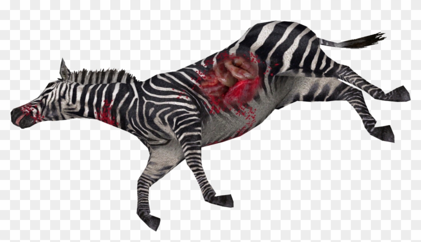 Dead Zebra - Quagga #422022