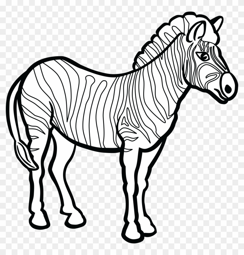 Free Clipart Of A Zebra - Drawing #422027