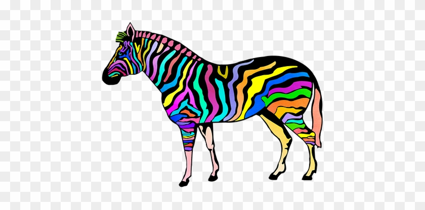 Zebra Animal Print Zoo Candy Striped Zebra - Rainbow Stripe Zebra Queen Duvet #422043