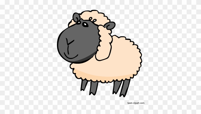 Adorable Sheep Clip Art Image - Clip Art #422061