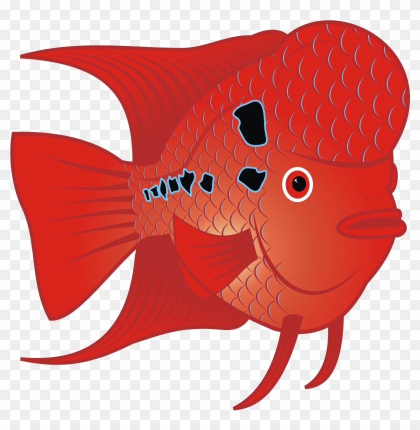 This Free Icons Png Design Of Red Goldfish - Flower Horn Fish Clip Art #422126