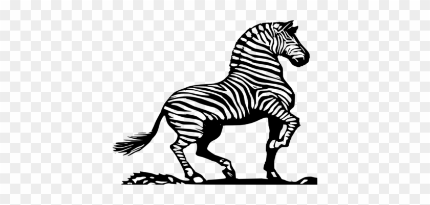 Coloring Trend Thumbnail Size Tiger Clip Art Zebra - Zebra Black And White #422127