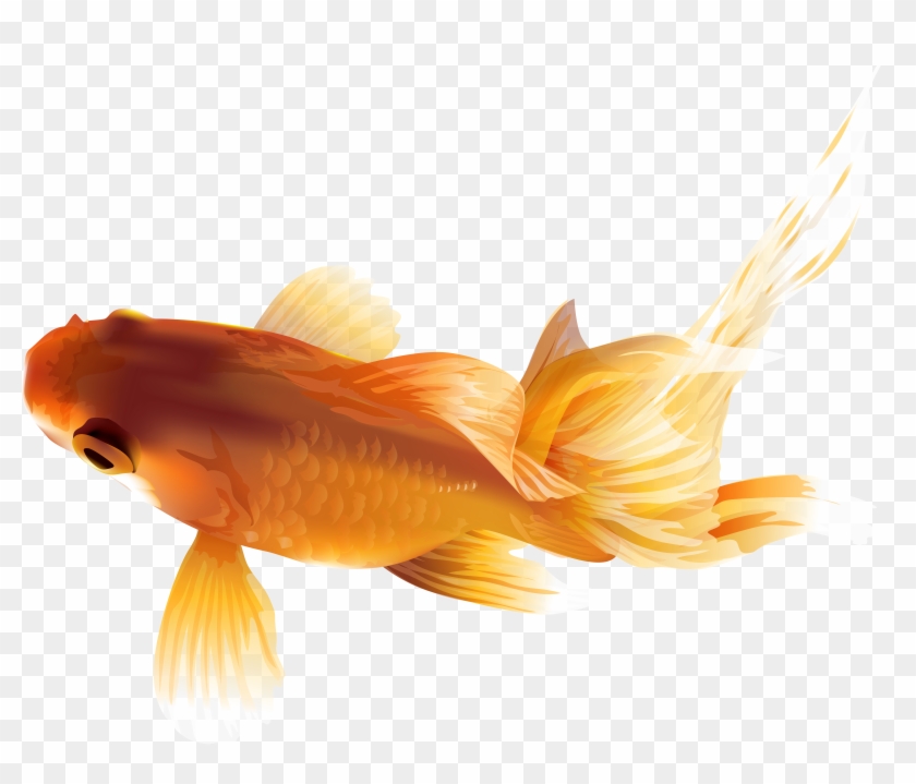 Gold Fish Clipart Saltwater Fish - Gold Fish Clipart Saltwater Fish #422173