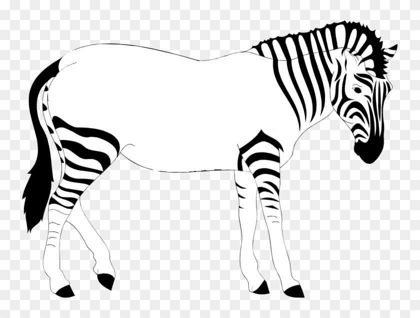 Print Out The Zebra - Realistic Zebra Clipart #422156