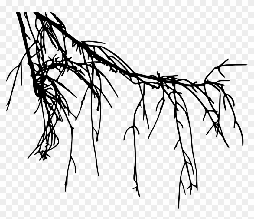 12 Tree Branch Silhouette Vol - Tree #422190