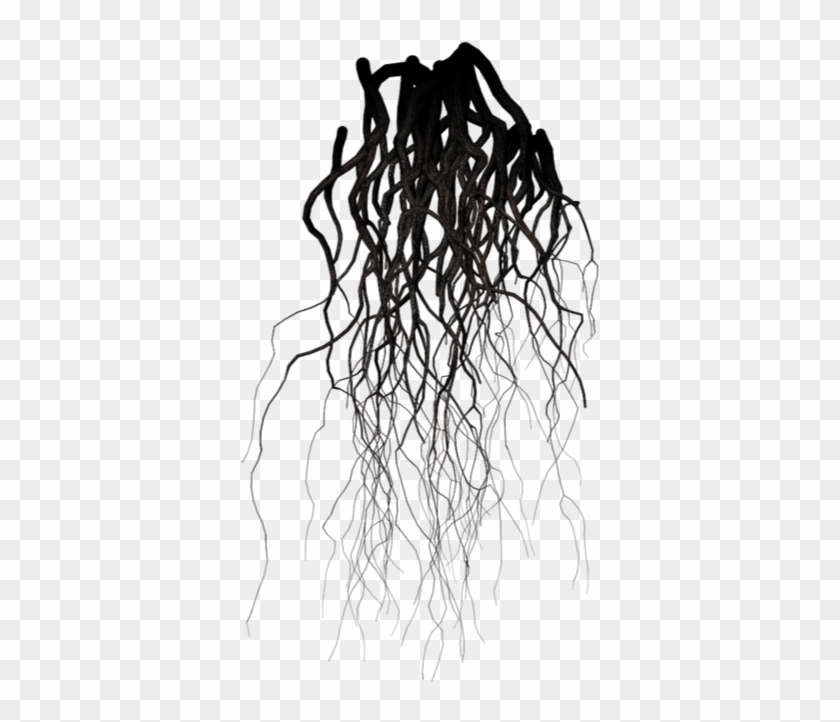 Roots Sticker - Transparent Black Veins Png #422214
