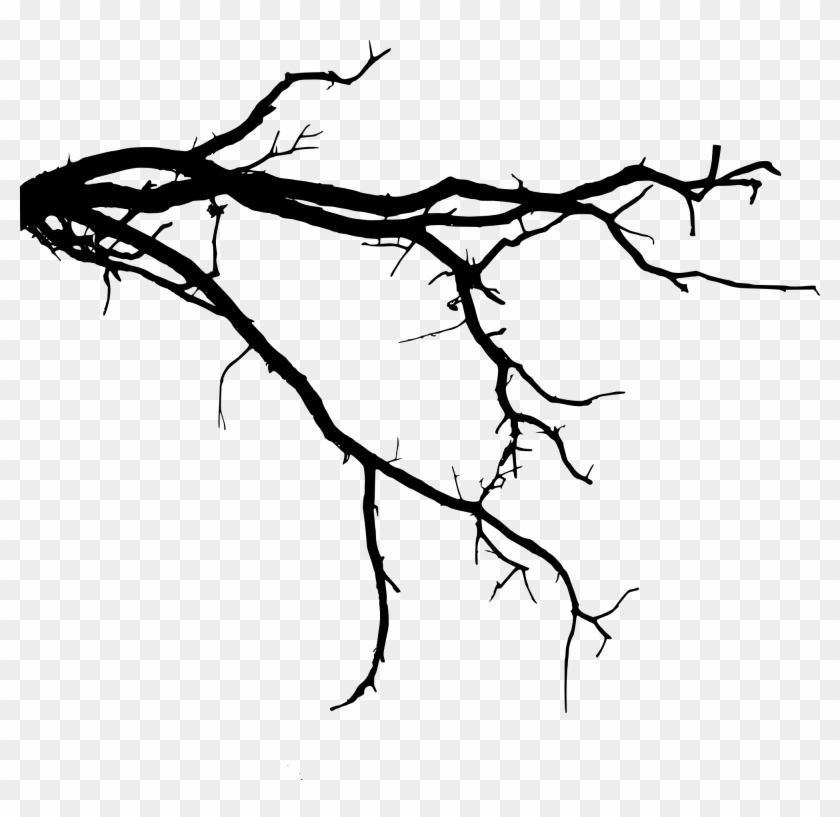 Tree Roots Silhouette Png Download Tree Roots Silhouette - Tree Branch Silhouette Png #422246