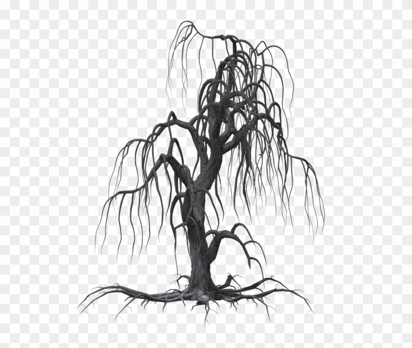 creepy dead tree sketch