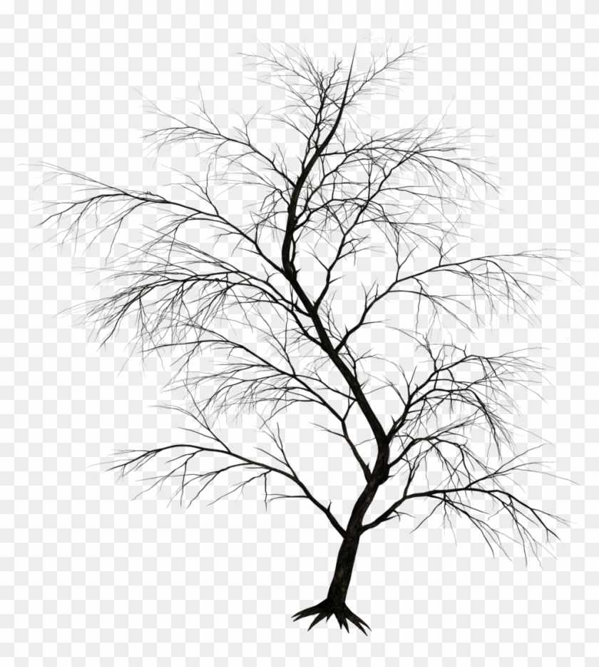 Flora Stock By Roy3d On Deviantart - Dark Tree Png #422285