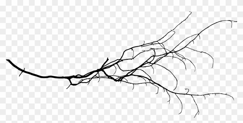 15 Tree Branch Silhouettes Onlygfx - Portable Network Graphics #422286