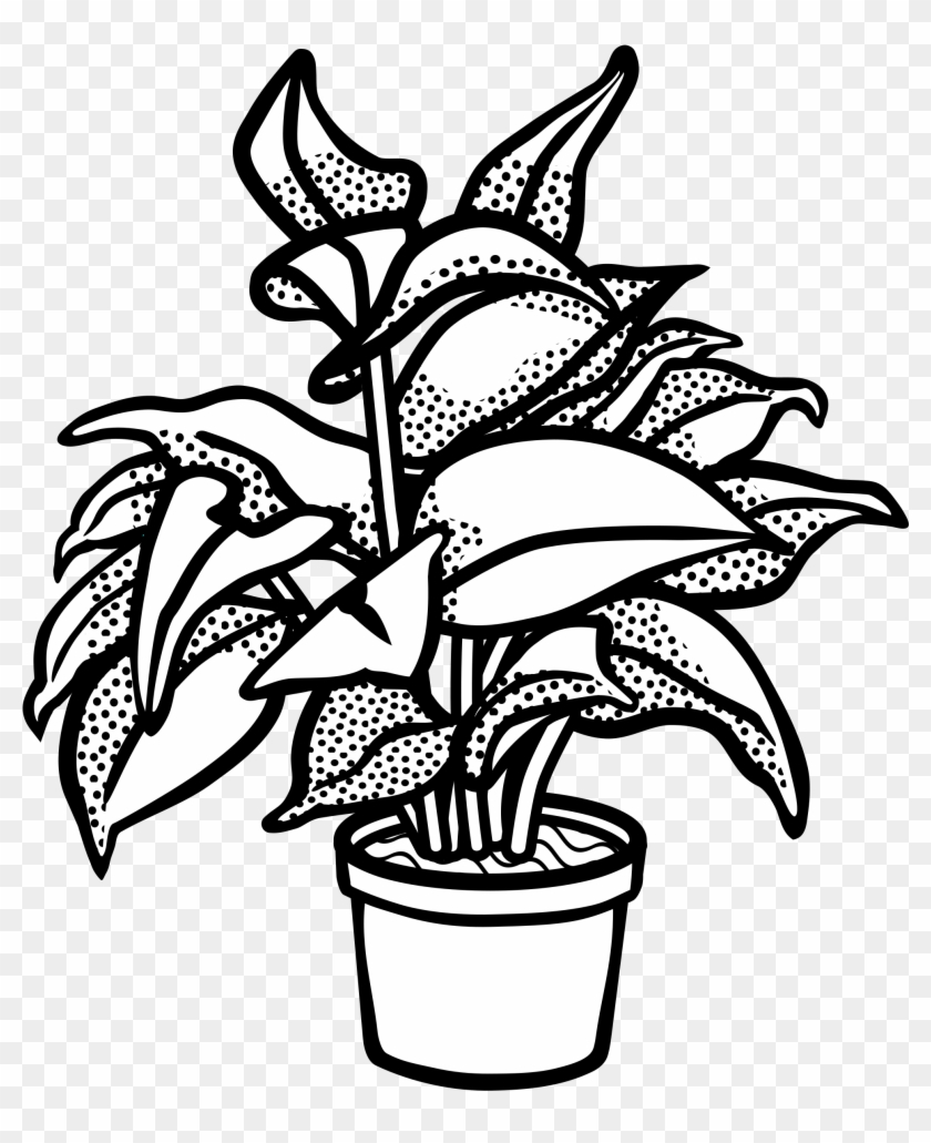 Monochrome Clipart Plant - Black And White Potted Plant #422289