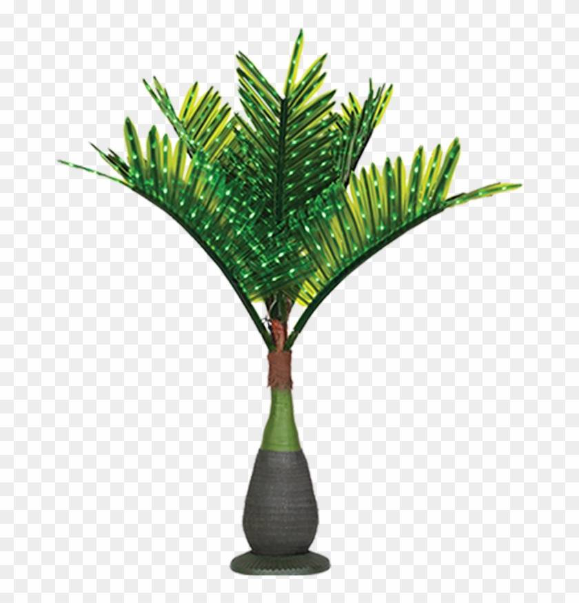 Lit Palm Trees - Lighted Palm Tree Outdoor #422491